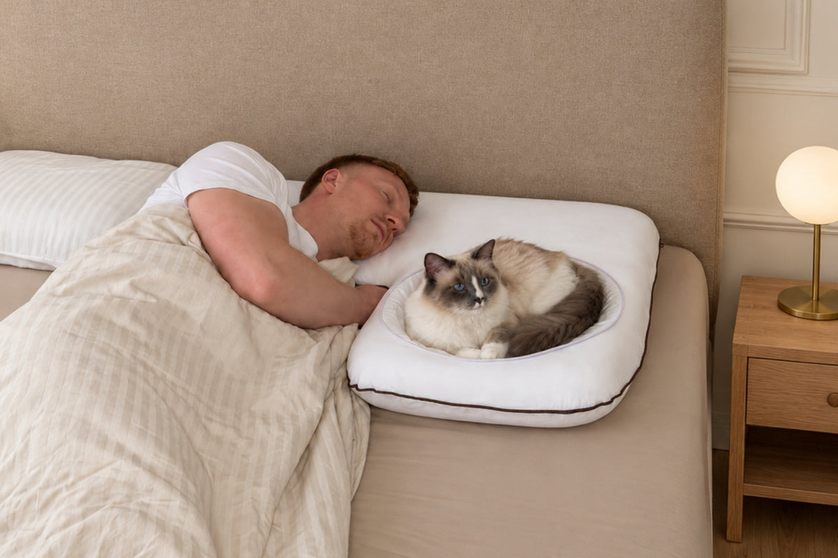 Best Pillow for Sleeping With Your Cat Without Losing Your Side